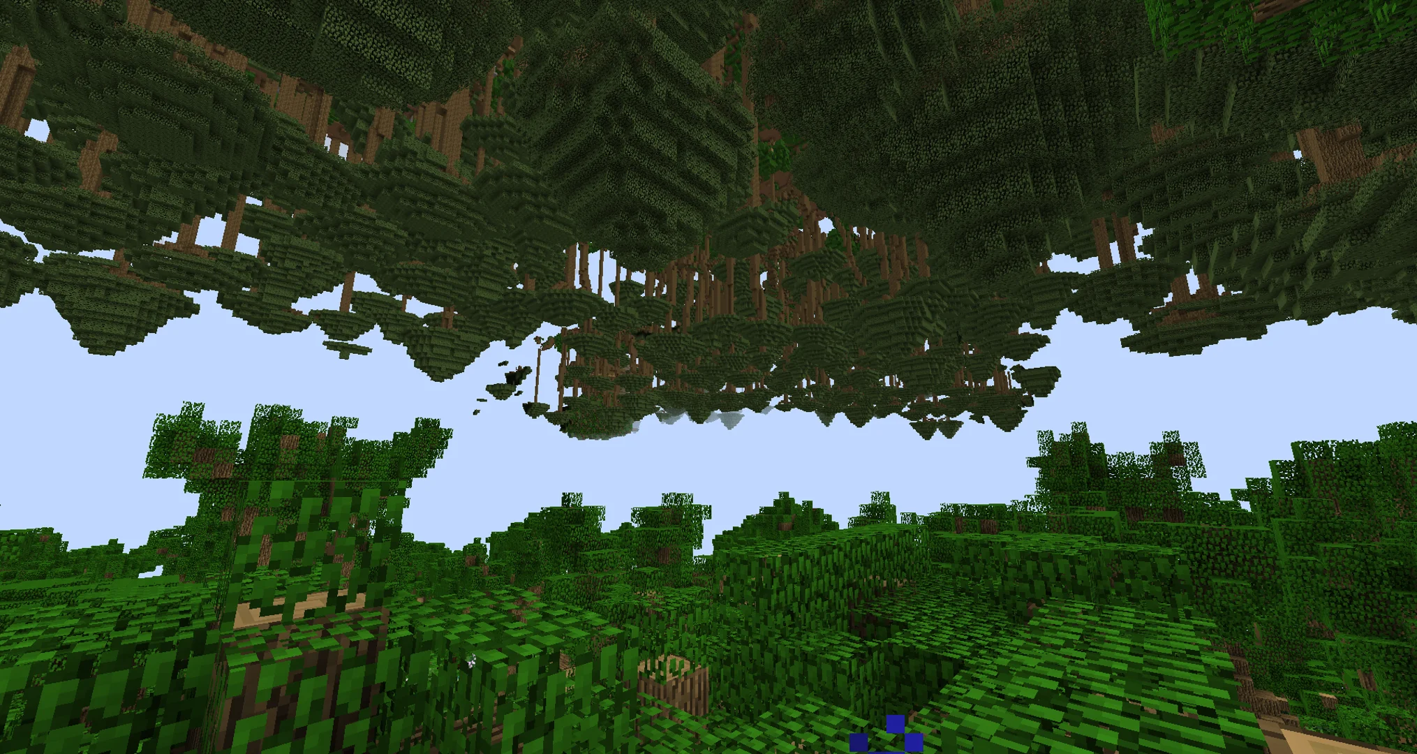 Inverted forest, Layer 2