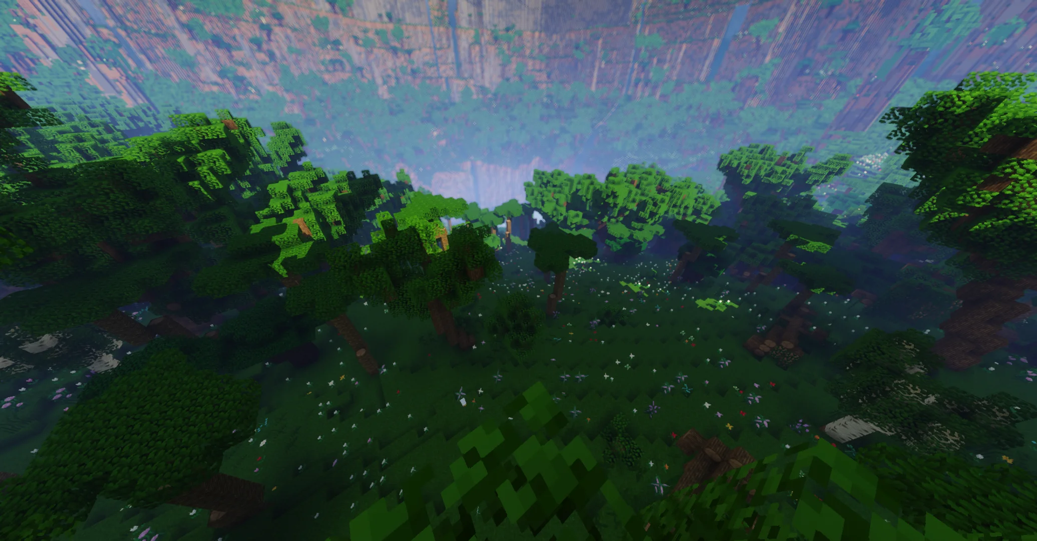 Entrance to the inverted forest
