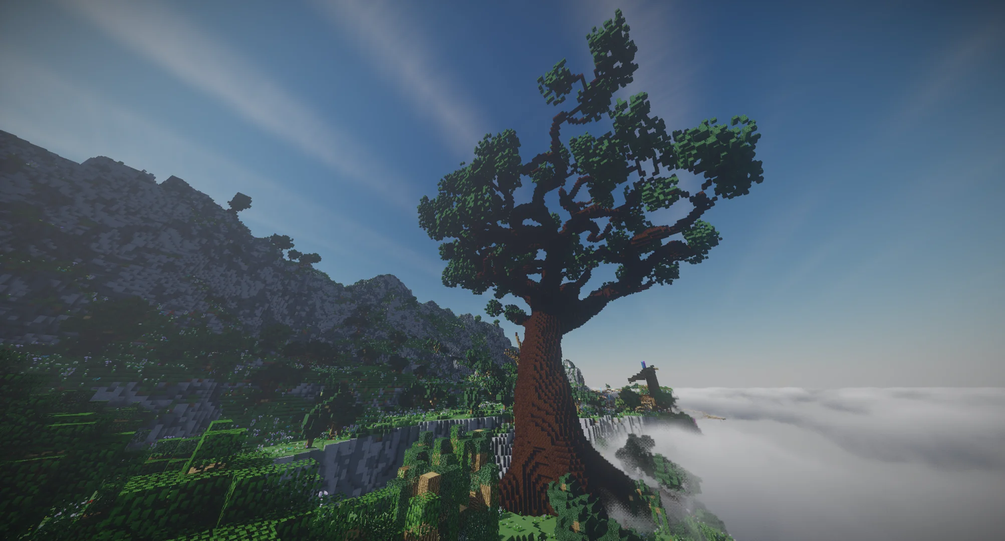 A pretty tree near the slums