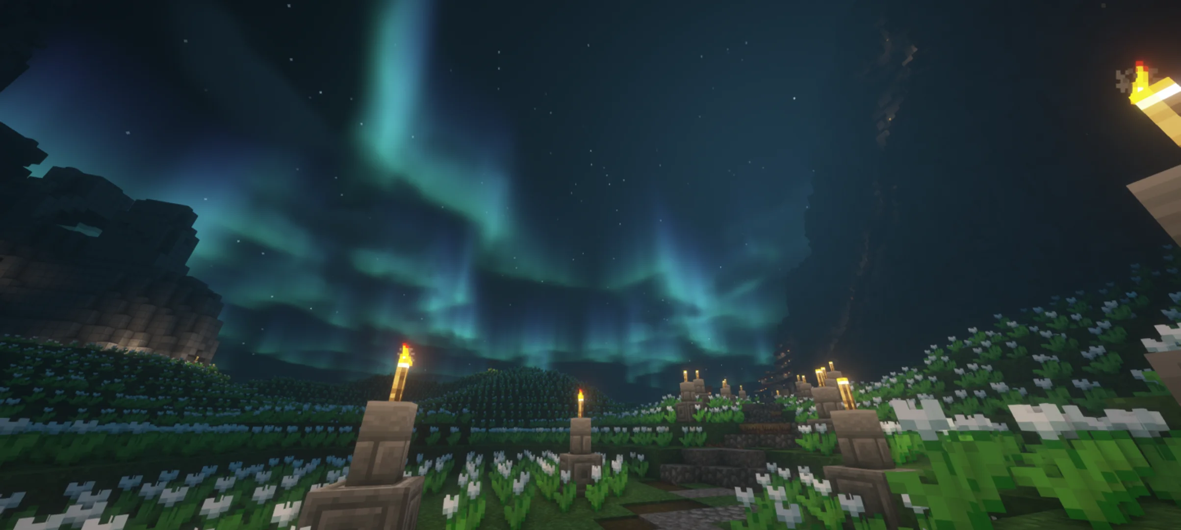Field of eternal fortunes at night (Survival)